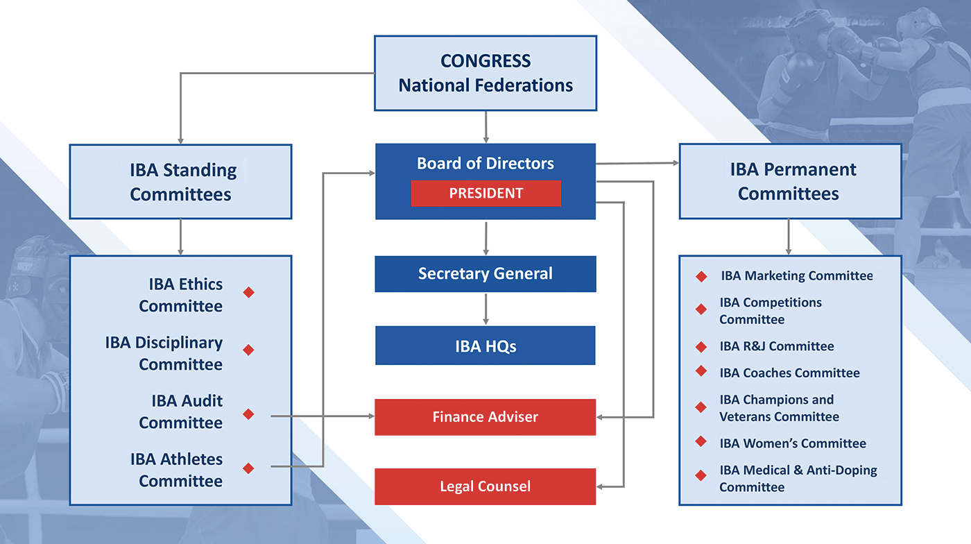 IBA-Structure-Governance